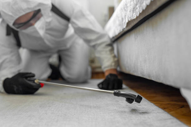 Professional Bed Bug Control technician working in Alfalfa County County, OK